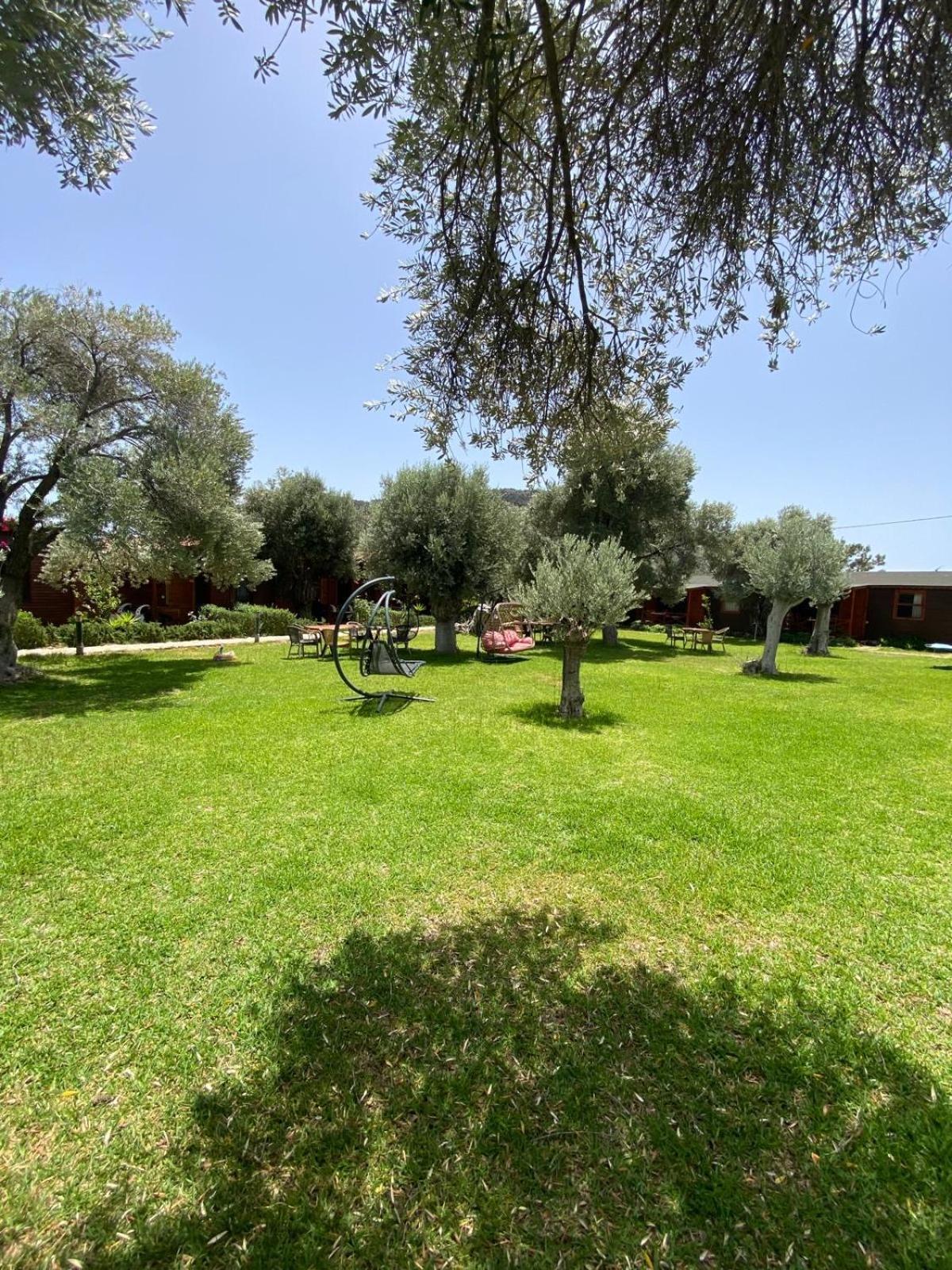 Suzi'Nin Bahcesi Bungalov Evler Datça Exterior foto